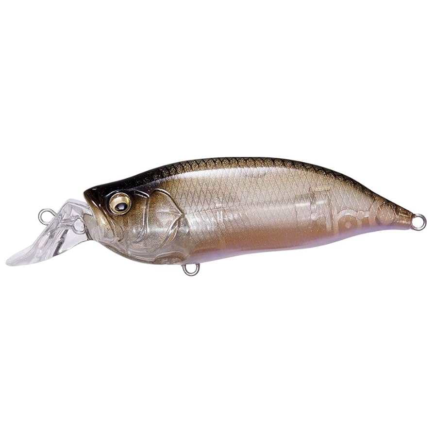 Amazon.co.jp: メガバス(Megabass) ルアー IXI SHAD